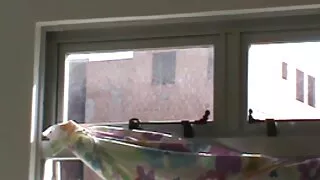 Le mec a poussé la bite dans la fente étroite de film porno à regarder gratuitement la jeune femme