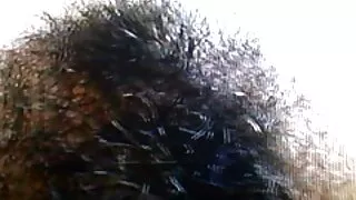 Une femme dépravée chevauche une grosse bite noire pendant que son mari est au meilleur porno noir travail
